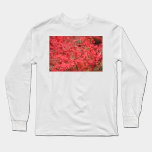 Close-up of red barberry in autumn Long Sleeve T-Shirt